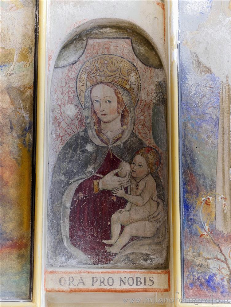 Momo (Novara) - Madonna del Latte nella Chiesa di Santa Maria Assunta